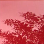 color photovoltaic rosso