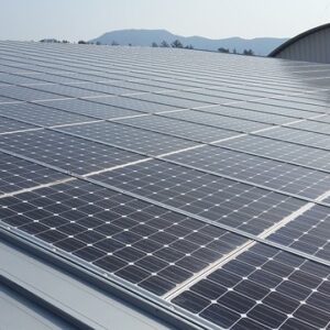Commercial renewable energy